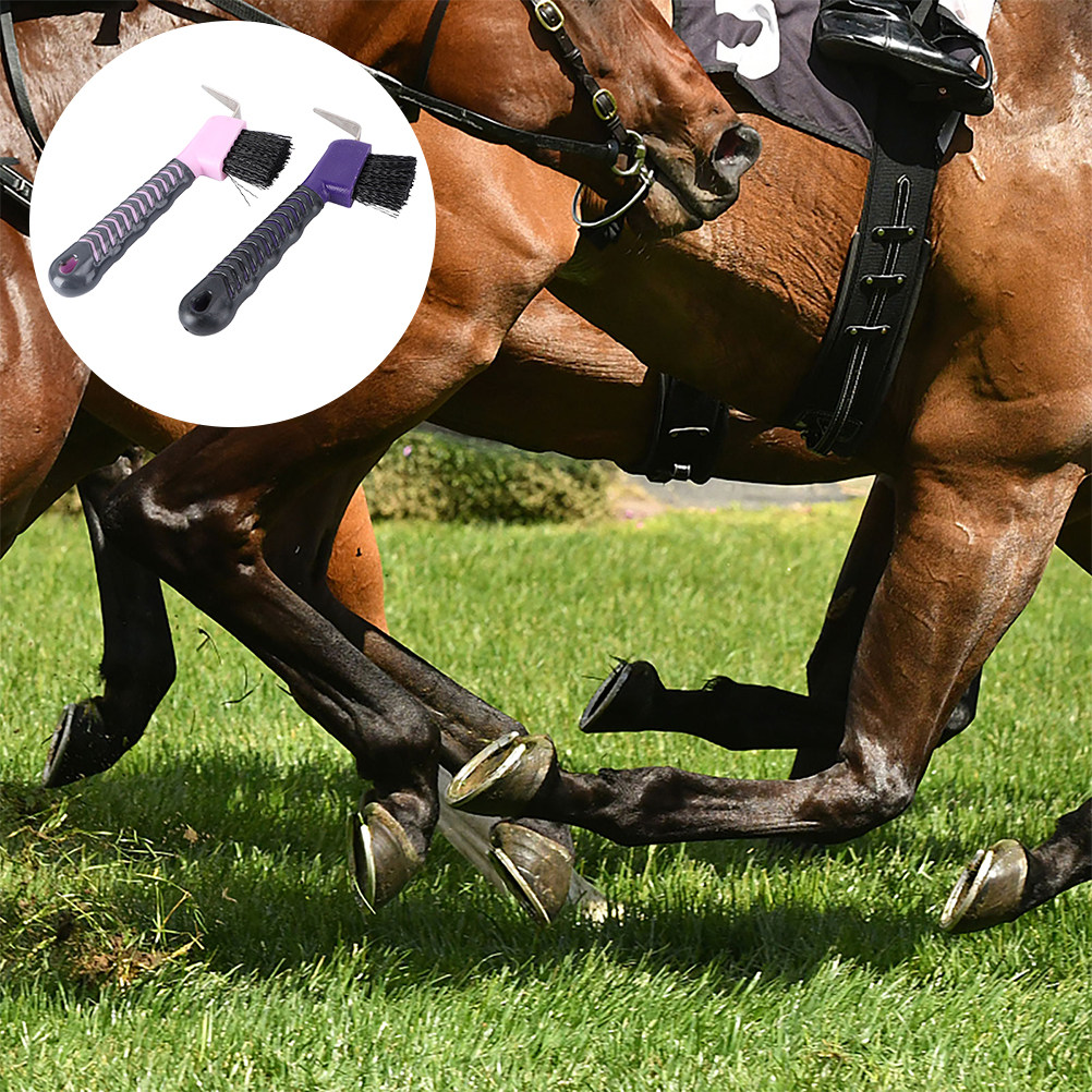 2 pièces : Cure-pattes pour ch - Brushing Boot Horse avis et prix